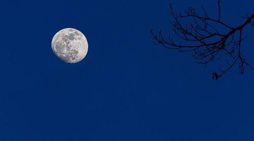 Low angle view of half moon against clear blue sky