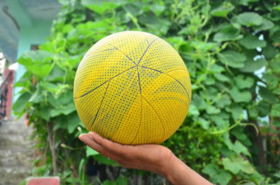 Close-up of hand holding yellow ball