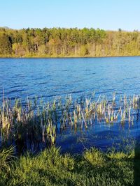 Scenic view of lake against clear sky