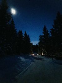 View of trees against sky at night