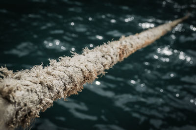 Close-up of rope over river