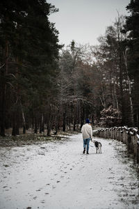 Young woman with dalmatian walks in snowy forest