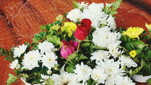 Close-up of multi colored flowers