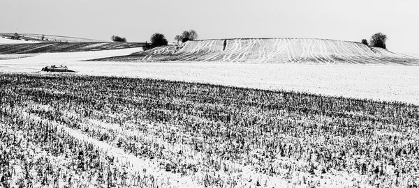 Scenic view of agricultural field against clear sky