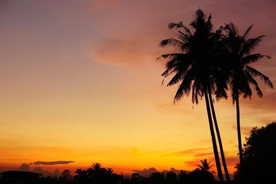 Low angle view of silhouette palm trees against romantic sky