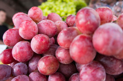 Close-up of blueberries