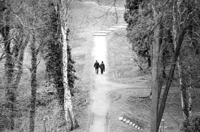 Rear view of people walking on road in forest