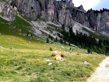 Scenic view of field against mountains