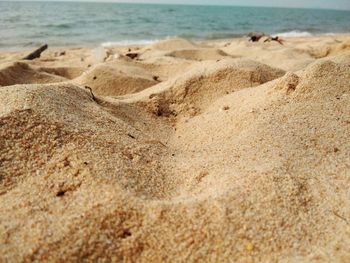 Close-up of beach against sky