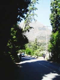 Road by trees against sky
