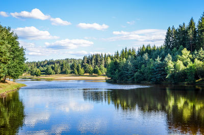 Scenic view of lake in forest against sky