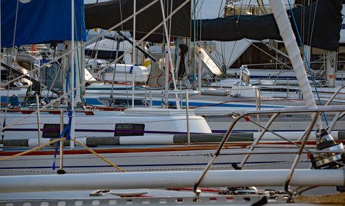 Sailboats moored at harbor