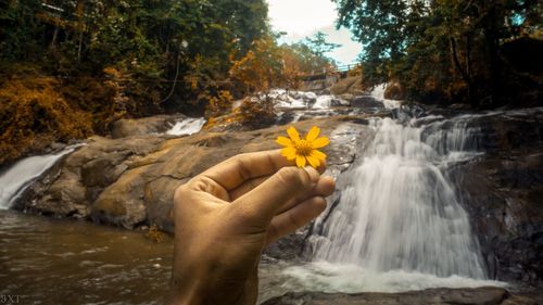 Close-up of man holding flower against waterfall