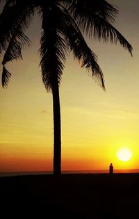 Silhouette of palm trees at sunset
