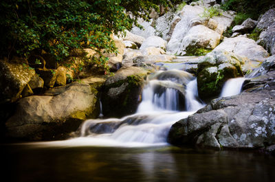 Scenic view of waterfall in forest