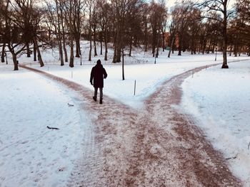 Rear view of man walking on snow covered land