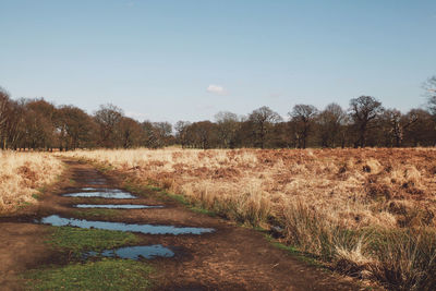 View of richmond park