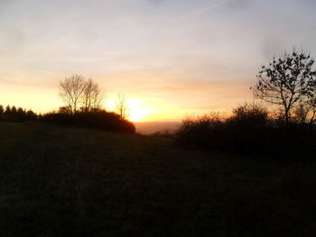 Silhouette trees on field against sky during sunset