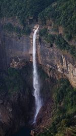 Scenic view of waterfall in forest