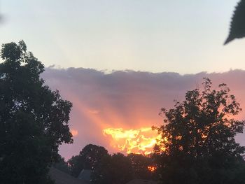 Low angle view of silhouette trees against sky at sunset