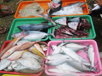 Fish for sale at market stall