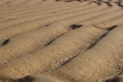 High angle view of ice cream on wood