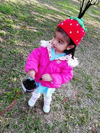 High angle view of girl with pink flowers on field