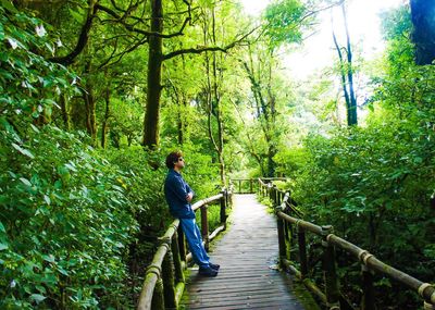 Footbridge in forest