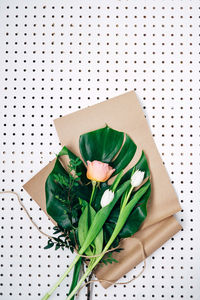 High angle view of rose plant on table