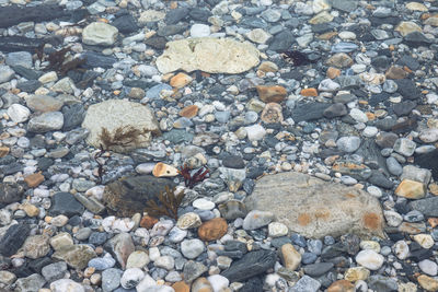 Full frame shot of pebbles on beach