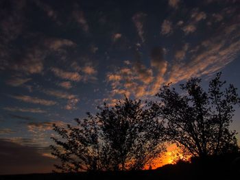 Low angle view of silhouette trees against sky at sunset