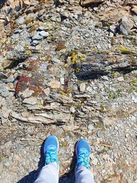 Low section of person standing on autumn leaves