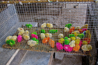 High angle view of multi colored pencils in cage