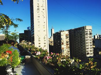 Plants growing in city against blue sky