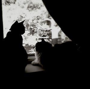 Woman relaxing on bed