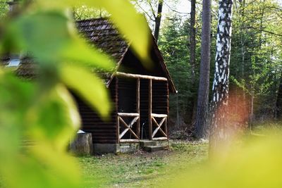 Gazebo amidst trees on field in forest