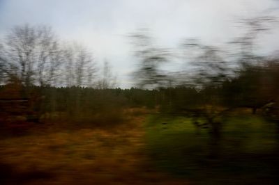 Blurred motion of trees on landscape