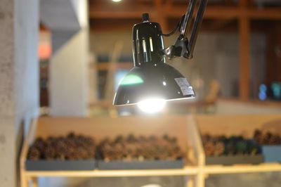 Close-up of illuminated light bulb