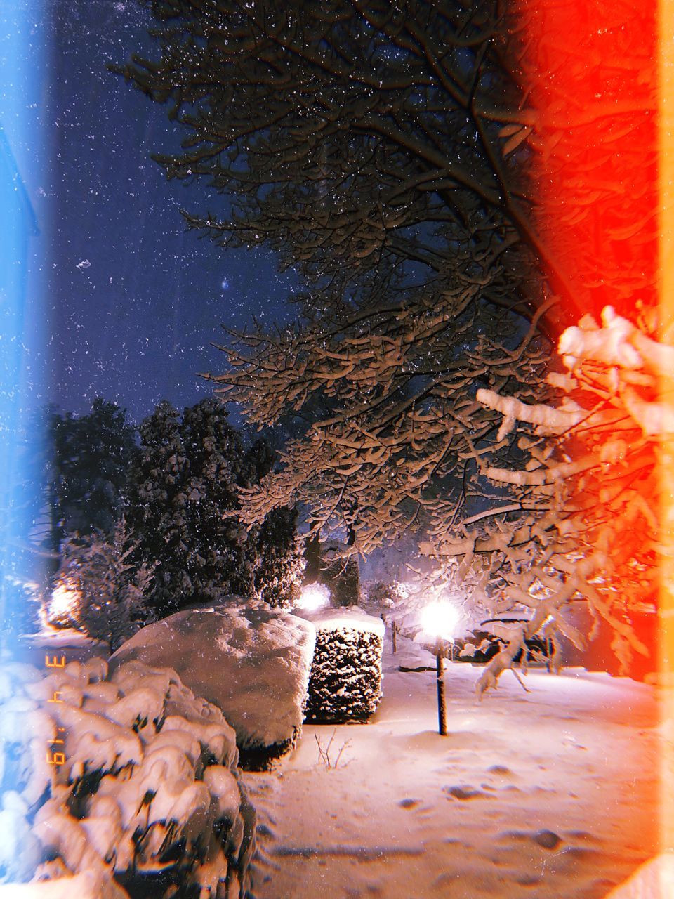 snow, winter, cold temperature, illuminated, tree, night, nature, plant, glowing, celebration, lighting equipment, christmas, decoration, no people, holiday, burning, frozen, christmas lights, outdoors, light, snowing, digital composite