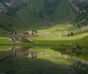 Scenic view of green landscape against lake