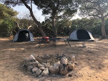 Tent on field against trees in forest