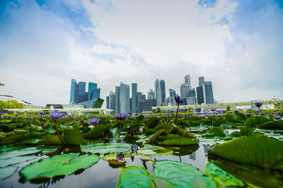 Panoramic view of lake and buildings against sky