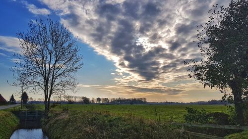 Scenic view of field against sky during sunset