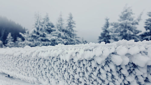 Beautiful winter landscape with snow covered trees. foggy winter landscape in the carpathians