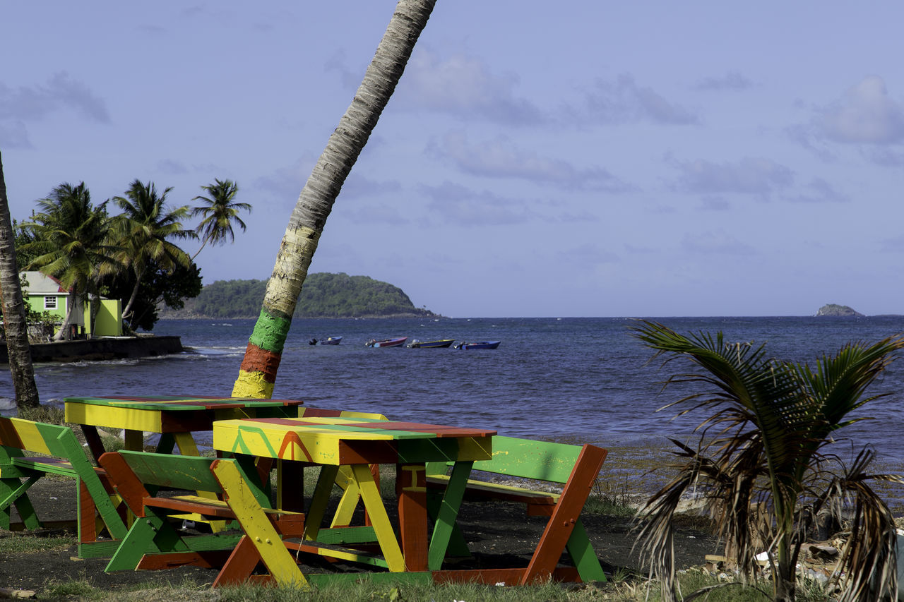 CHAIRS AND PALM TREE ON BEACH AGAINST SKY