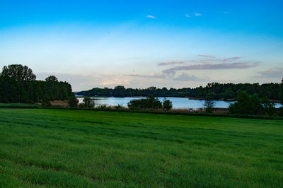 Scenic view of grassy field against sky