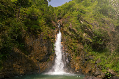 Scenic view of waterfall in forest