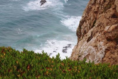 Scenic view of sea and rocks