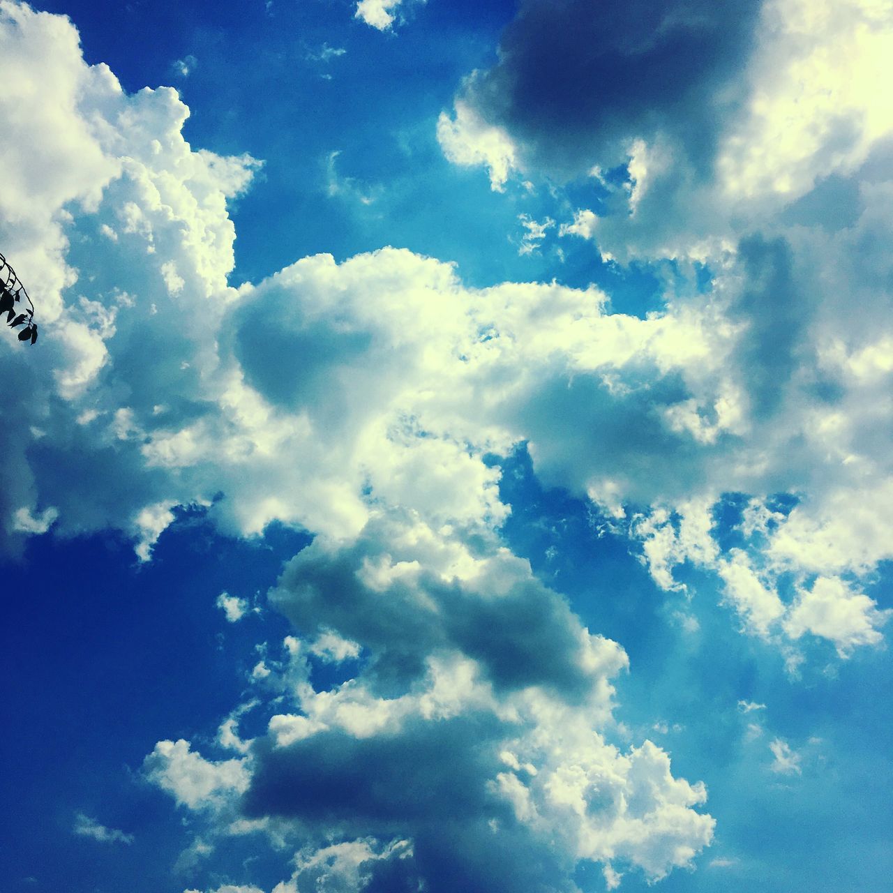 sky, low angle view, cloud - sky, blue, sky only, beauty in nature, tranquility, cloudy, scenics, nature, cloud, cloudscape, backgrounds, tranquil scene, full frame, idyllic, outdoors, day, no people, majestic, weather, cumulus cloud, white, softness