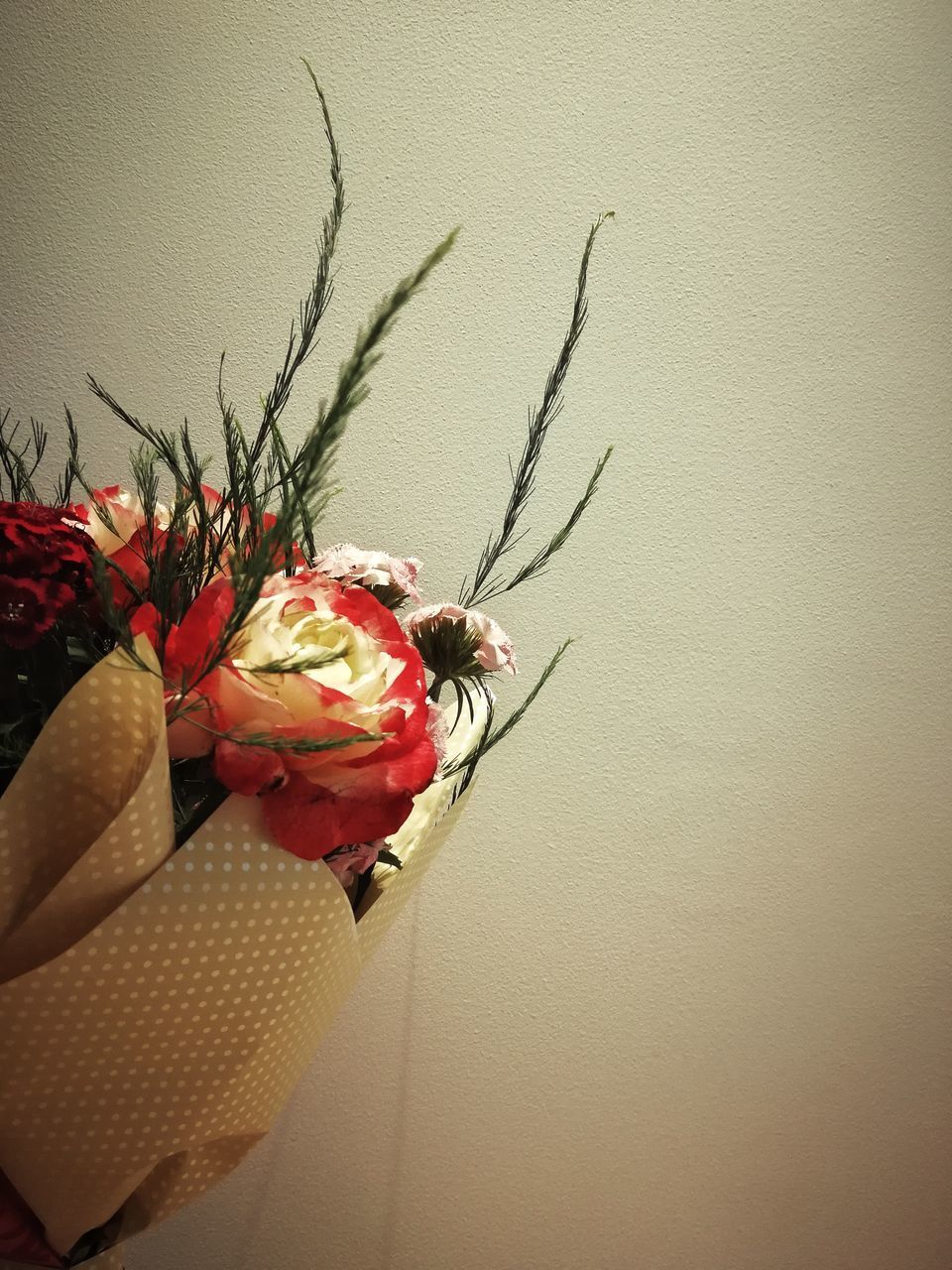 CLOSE-UP OF RED ROSE FLOWER ON WALL